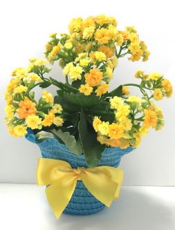 Sensational Charming Blooms ($25 & Up)